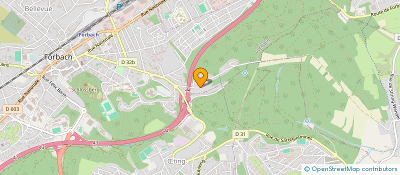 localisation de l'entreprise MADAME GIANNA PLADO COSTANTE  FORBACH