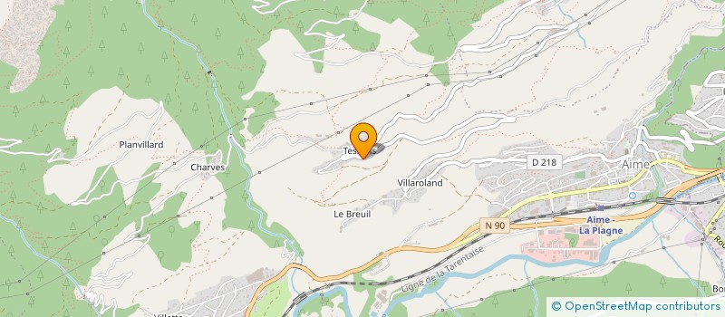 localisation de l'entreprise MADAME GILBERTE BERARD-BERGERY à AIME-LA-PLAGNE