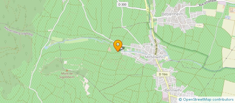 localisation de l'entreprise MADAME GILLIAN BUCKETT  MITTELWIHR