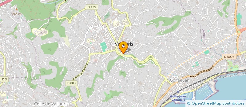 localisation de l'entreprise MADAME GINA CARION  VALLAURIS