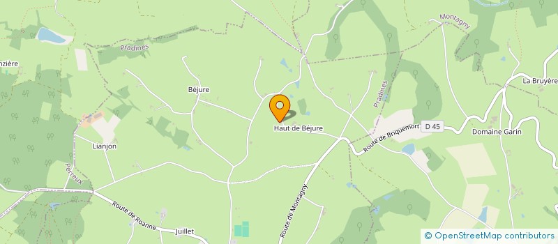 localisation de l'entreprise MADAME GINETTE MARECHAL  SAINT-VICTOR-SUR-RHINS