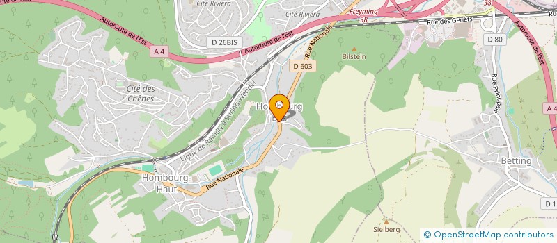 localisation de l'entreprise MADAME GINETTE SCHMITT à HOMBOURG-HAUT