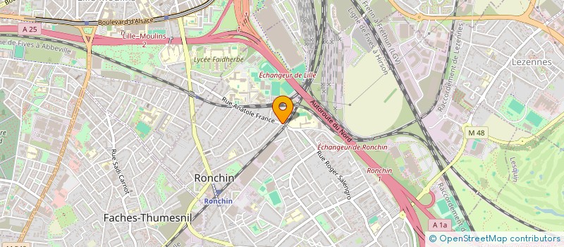 localisation de l'entreprise MADAME GISELE FLEMAL  RONCHIN