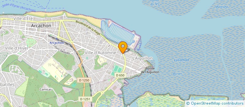 localisation de l'entreprise MADAME GISELE LARDILLIER  ARCACHON