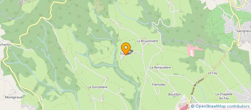 localisation de l'entreprise MADAME GISELE MAZENOD  SAINT-CHAMOND