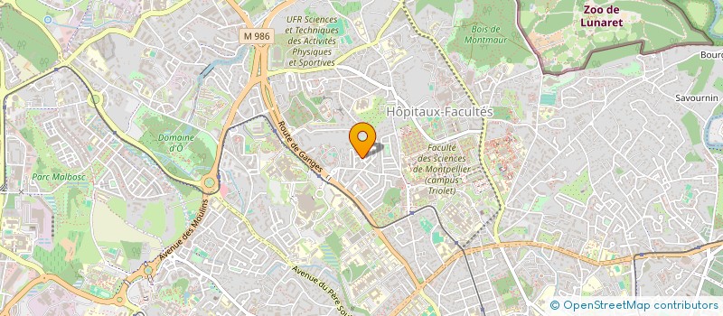 localisation de l'entreprise MADAME GISELE PILLERI à MONTPELLIER