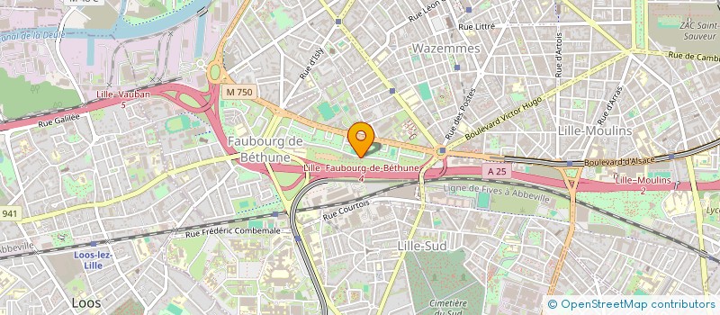 localisation de l'entreprise MADAME GNAMA TOURE à LILLE