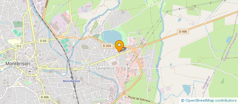 localisation de l'entreprise MADAME GRACA DO SANTOS MARTINS  SAVIGNEUX