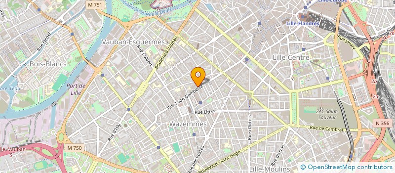 localisation de l'entreprise MADAME GRAIGOIR-ALEACE COUNALI-DAMBO à LILLE