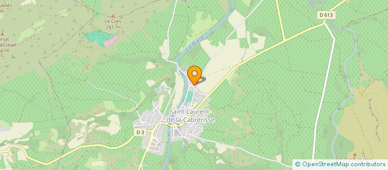 localisation de l'entreprise MADAME GUILAINE RAYNAUD  ST LAURENT DE LA CABRERISS