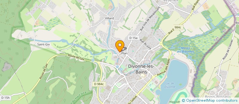 localisation de l'entreprise MADAME GUILLEMETTE LAUNOY à DIVONNE-LES-BAINS