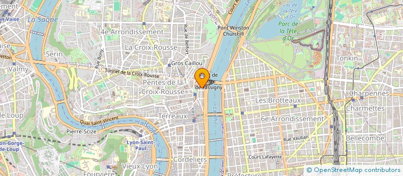 localisation de l'entreprise MADAME GUILLEMETTE VERNET à LYON