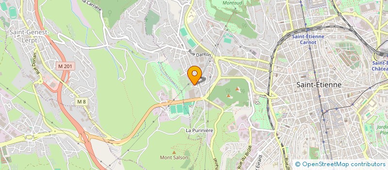 localisation de l'entreprise MADAME GULLU EROL  SAINT-ETIENNE