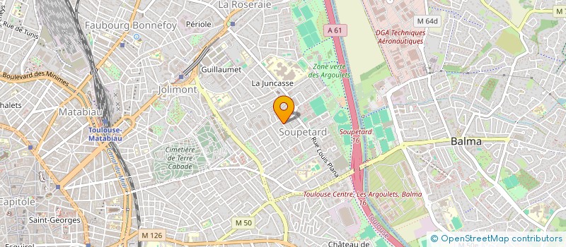 localisation de l'entreprise MADAME GUVEN TOYTOGLU à TOULOUSE