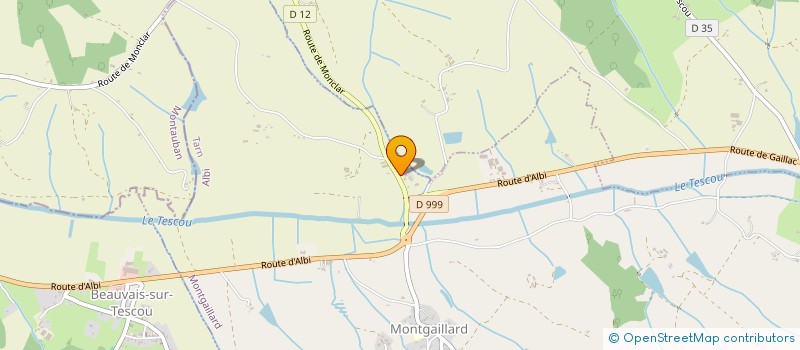 localisation de l'entreprise MADAME GUYLENE GUIRAUD  MONTGAILLARD