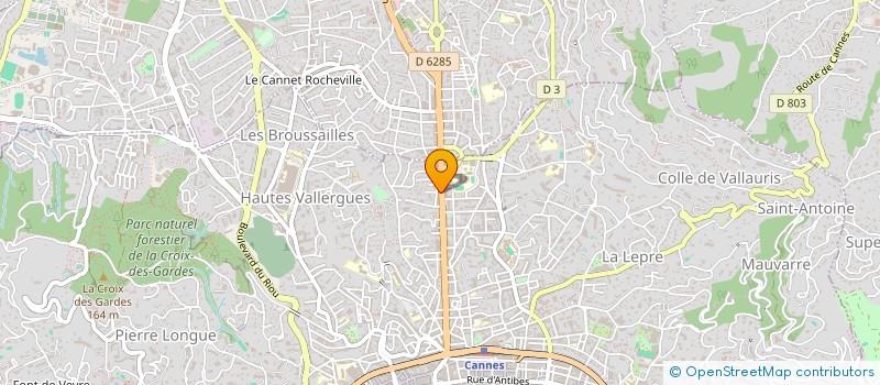 localisation de l'entreprise MADAME GWENAEL VIANDAZ  CANNES