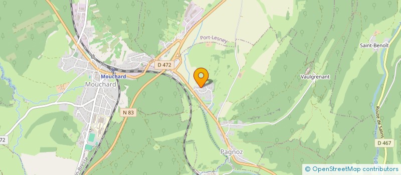 localisation de l'entreprise MADAME GWENAELLE MONTOYA-MERINO  PAGNOZ