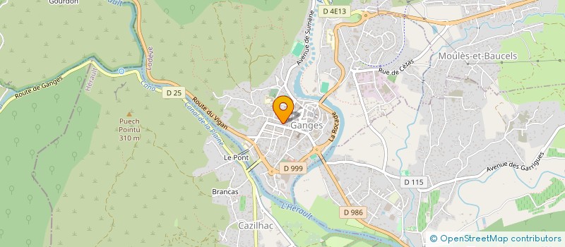 localisation de l'entreprise MADAME GWENAELLE RAMOND  GANGES