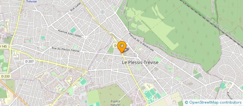 localisation de l'entreprise MADAME HADJER ROUABAH  LE PLESSIS-TREVISE