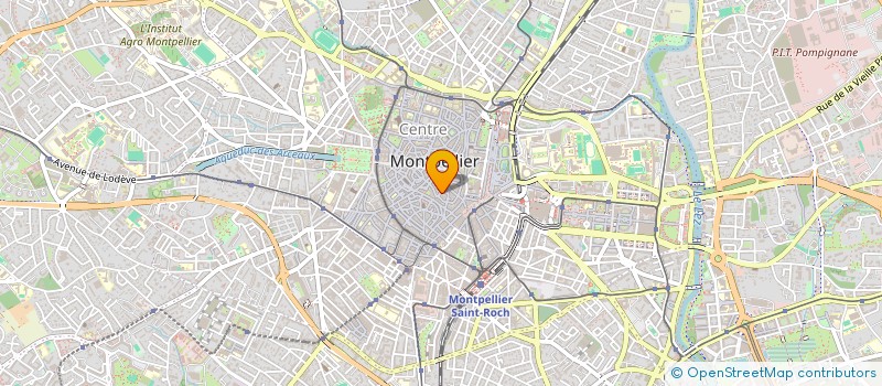 localisation de l'entreprise MADAME HADRIEN PELLEGRINI à MONTPELLIER