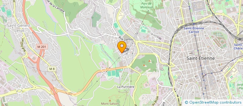 localisation de l'entreprise MADAME HAFIDA ARGOUBI IDRISSI  SAINT-ETIENNE