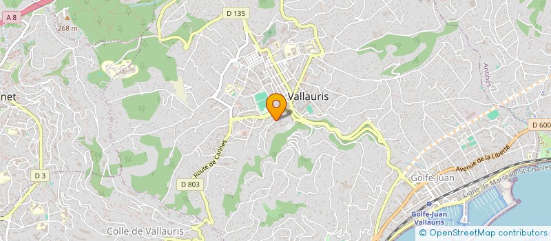 localisation de l'entreprise MADAME HAJER ABDALLAH  VALLAURIS