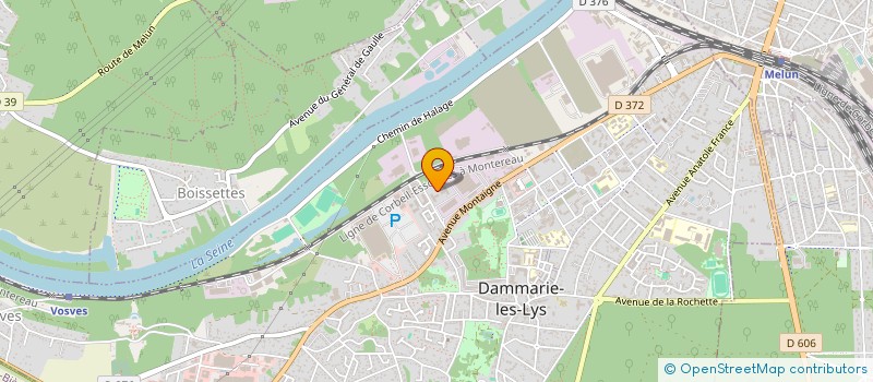 localisation de l'entreprise MADAME HAMIDA SAIDI à DAMMARIE-LES-LYS