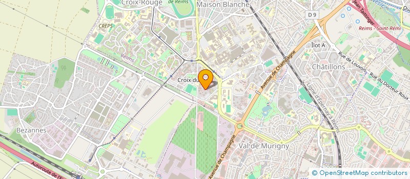 localisation de l'entreprise MADAME HANAA SAYOUD  REIMS