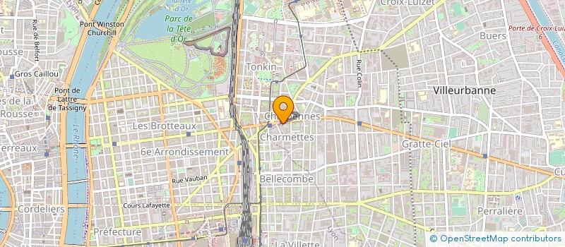 localisation de l'entreprise MADAME HANANE AMDI  VILLEURBANNE