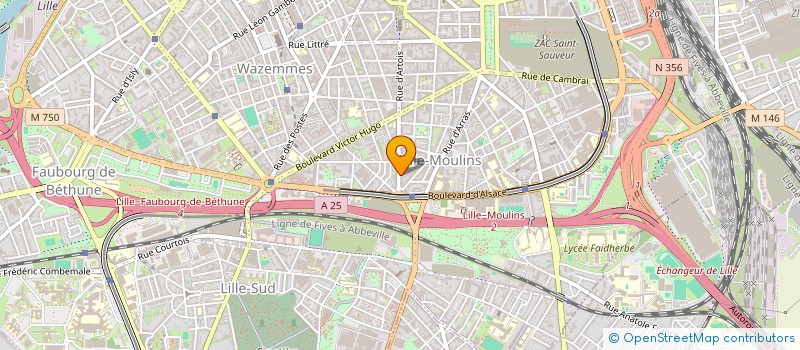 localisation de l'entreprise MADAME HANANE NAIMI à LILLE