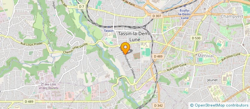 localisation de l'entreprise MADAME HANANNE OUERTANI à TASSIN-LA-DEMI-LUNE