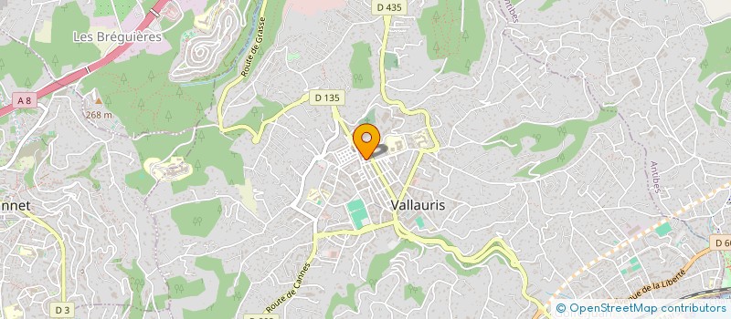 localisation de l'entreprise MADAME HANEN GRABSI à VALLAURIS