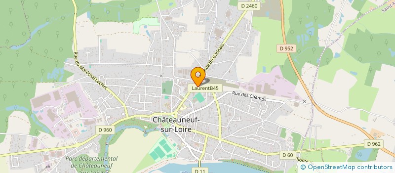localisation de l'entreprise MADAME HANIN BAKAYOKO à CHATEAUNEUF-SUR-LOIRE