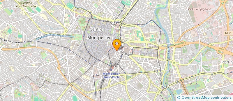 localisation de l'entreprise MADAME HANNE AARUM à MONTPELLIER