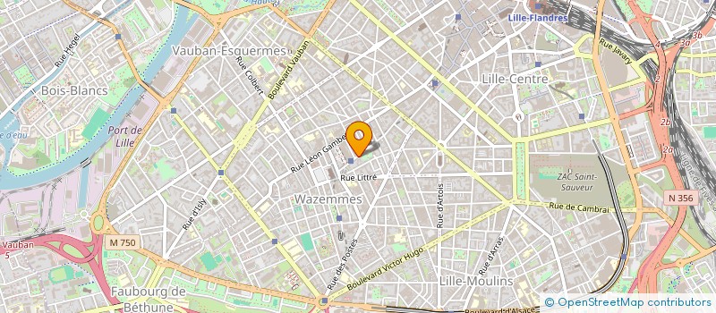 localisation de l'entreprise MADAME HAOUA OUEDRAOGO à LILLE