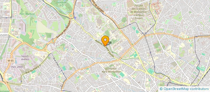 localisation de l'entreprise MADAME HASSINA BOUMAIZA  MONTPELLIER