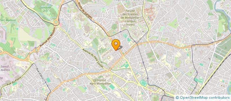 localisation de l'entreprise MADAME HATHAICHANOK WOINGSOISON à MONTPELLIER
