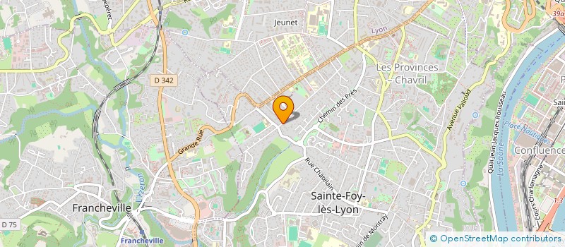 localisation de l'entreprise MADAME HAYAT NADOUR  SAINTE-FOY-LES-LYON