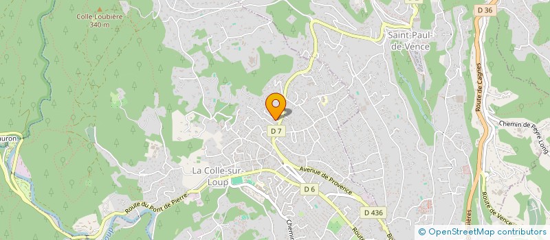 localisation de l'entreprise MADAME HAYETTE SAIDI à LA COLLE-SUR-LOUP