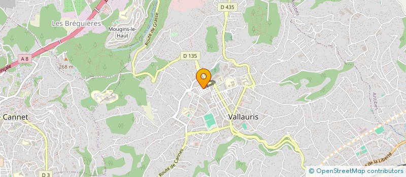 localisation de l'entreprise MADAME HELEN WALKER  VALLAURIS