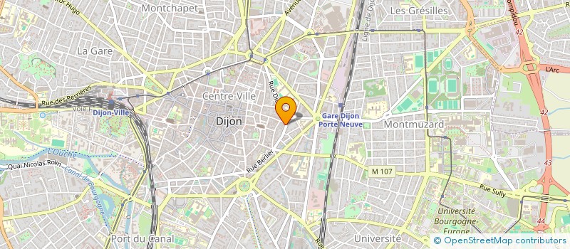 localisation de l'entreprise MADAME HELENA GOUJON  DIJON