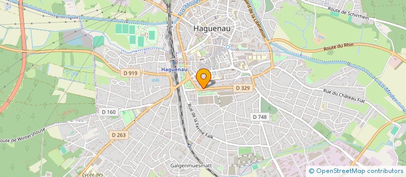 localisation de l'entreprise MADAME HELENA LAFAY à HAGUENAU