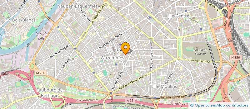 localisation de l'entreprise MADAME HELENE BARISEAU  LILLE