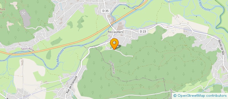 localisation de l'entreprise MADAME HELENE BLAISON  LE SYNDICAT