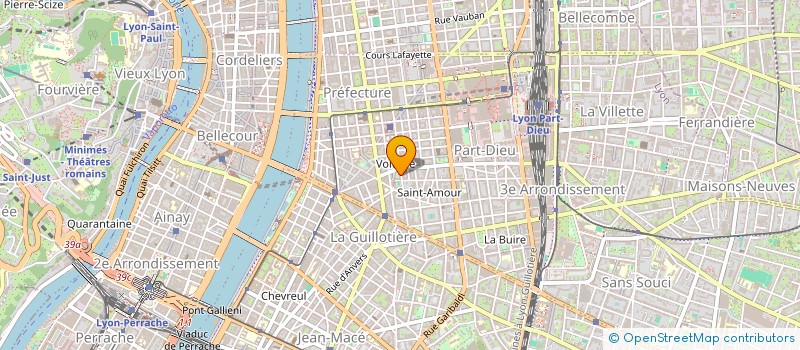 localisation de l'entreprise MADAME HELENE BRACHET  LYON