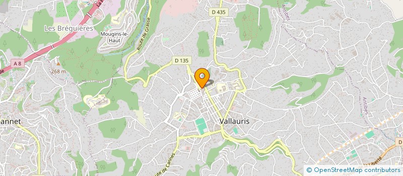 localisation de l'entreprise MADAME HELENE CORSO à VALLAURIS