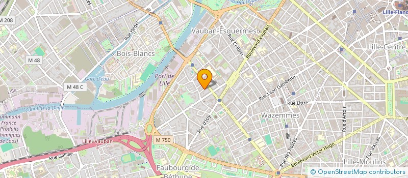 localisation de l'entreprise MADAME HELENE DELVOYE à LILLE