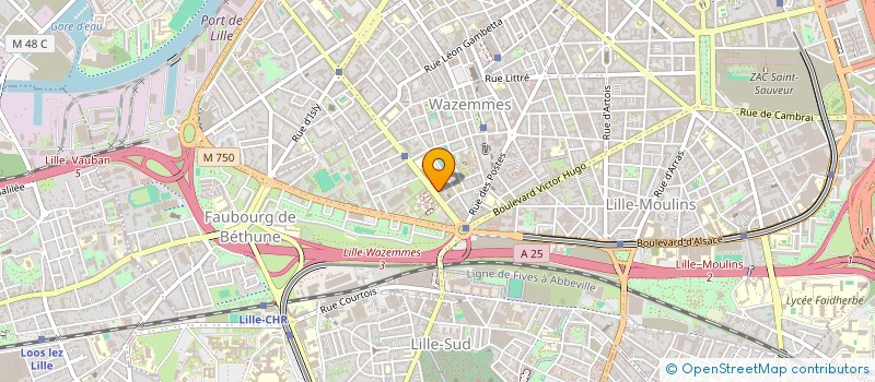 localisation de l'entreprise MADAME HELENE DEWALLY à LILLE