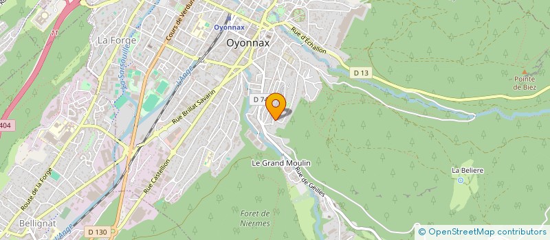 localisation de l'entreprise MADAME HELENE DOS SANTOS à OYONNAX