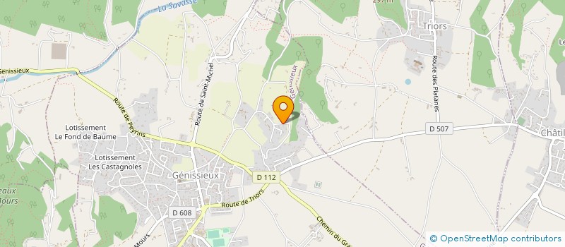 localisation de l'entreprise MADAME HELENE DUJARDIN à SAINT-MICHEL-SUR-SAVASSE